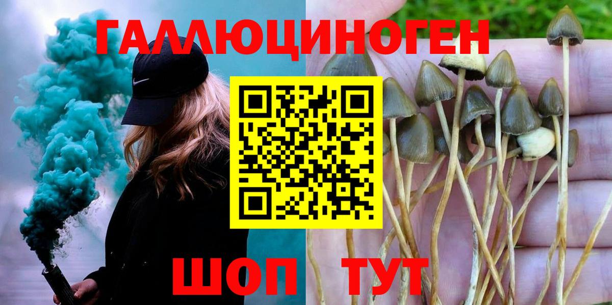 Отрадный  где продают   Вход с VPN  Галлюциногенные грибы Magic Shrooms 