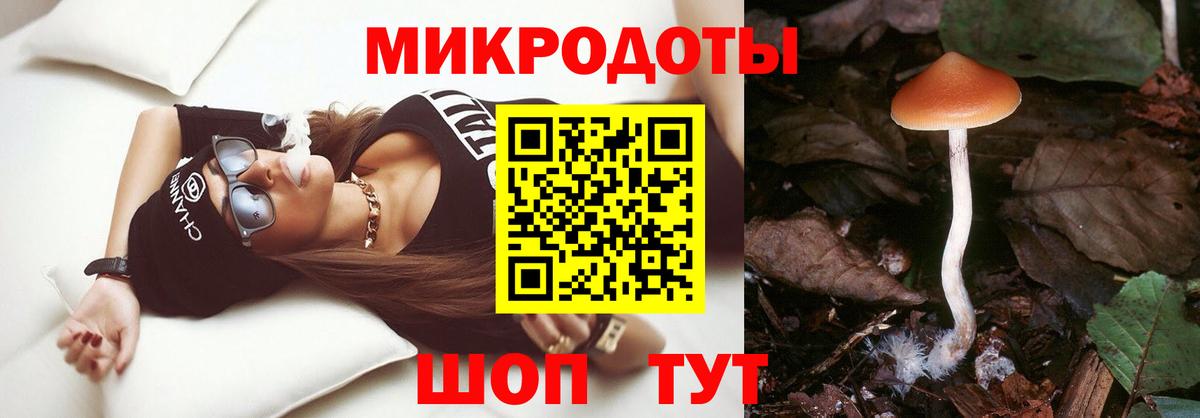 Галлюциногенные грибы прущие грибы Отрадный